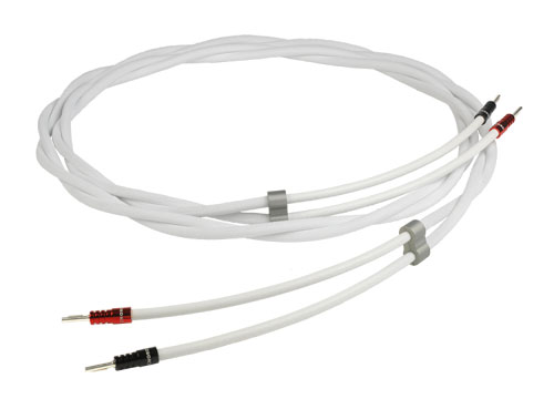 sarumt-spkr-ohmic-float-750x750 sarumt-spkr-ohmic-float-750x750