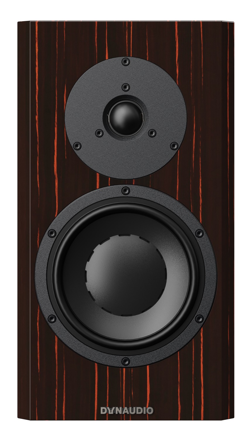 dynaudio special forty test stereo